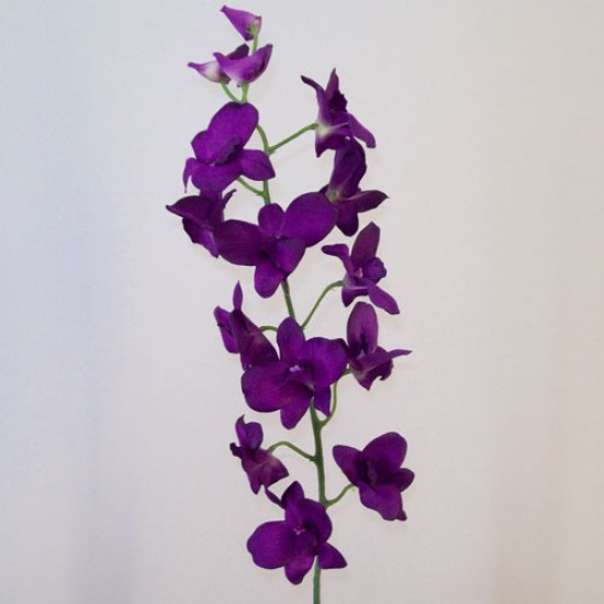 Artificial Dendrobium Orchid Flowers Purple 82cm Artificial Flowers